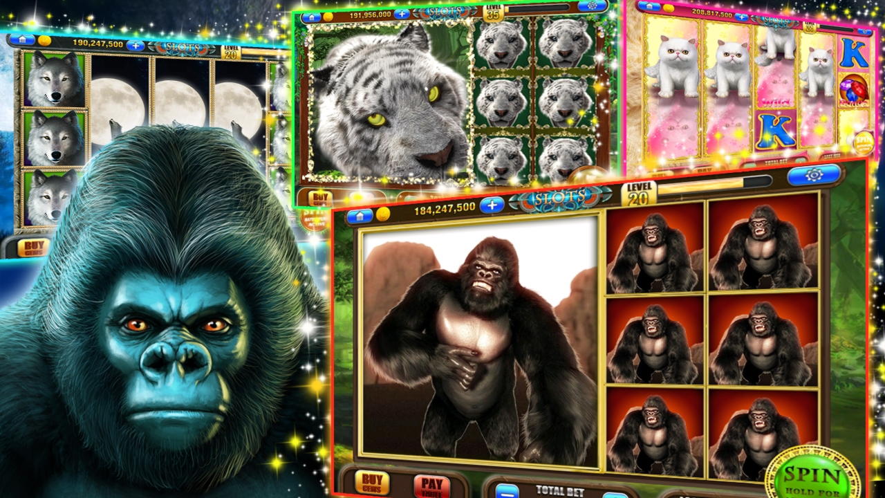 €2790 No deposit at Spinrider Casino