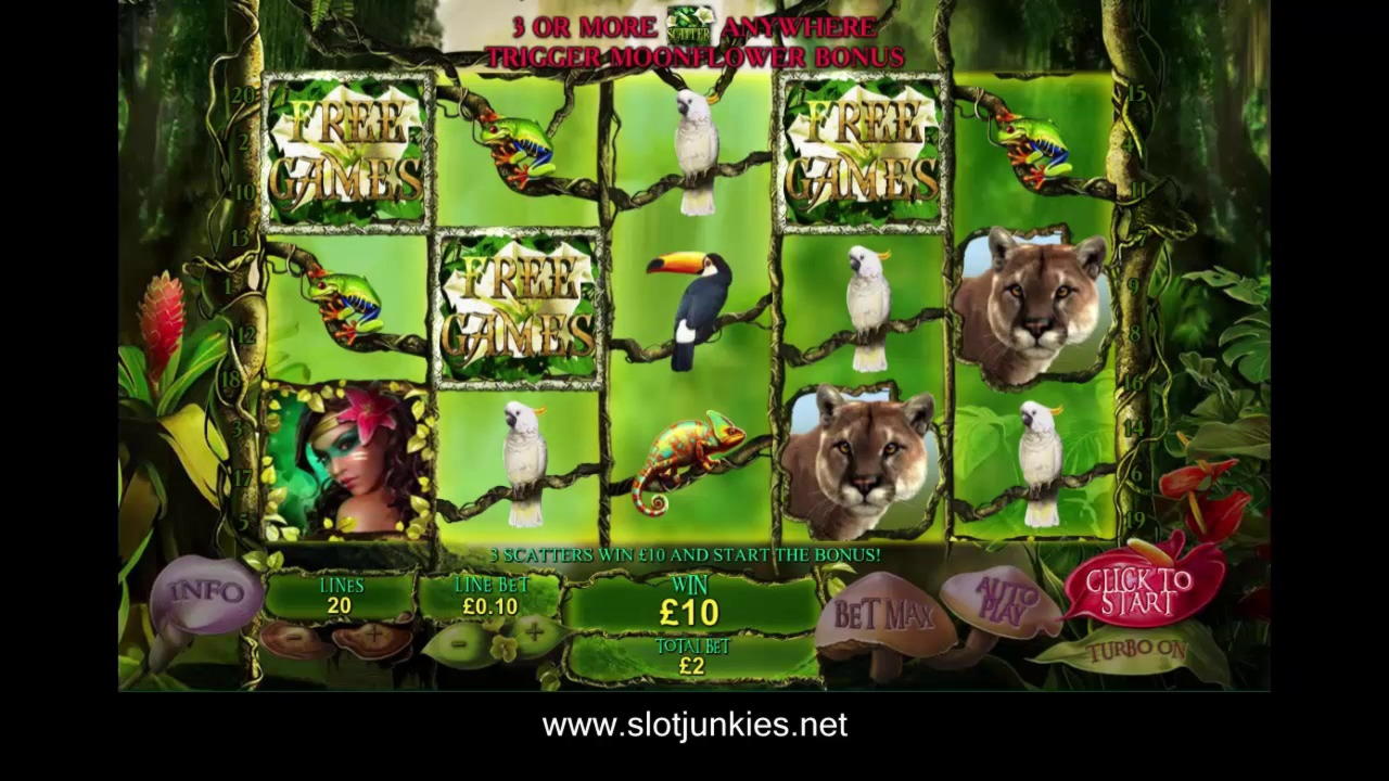 295% Best Signup Bonus Casino at Winner Casino