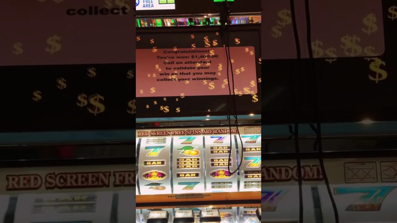 245 Free Spins Casino at Dream Vegas Casino