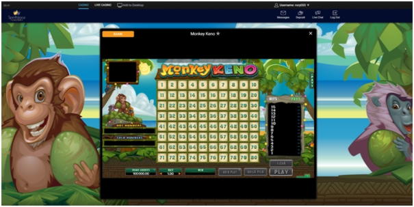 540% Match at a Casino at Spinrider Casino