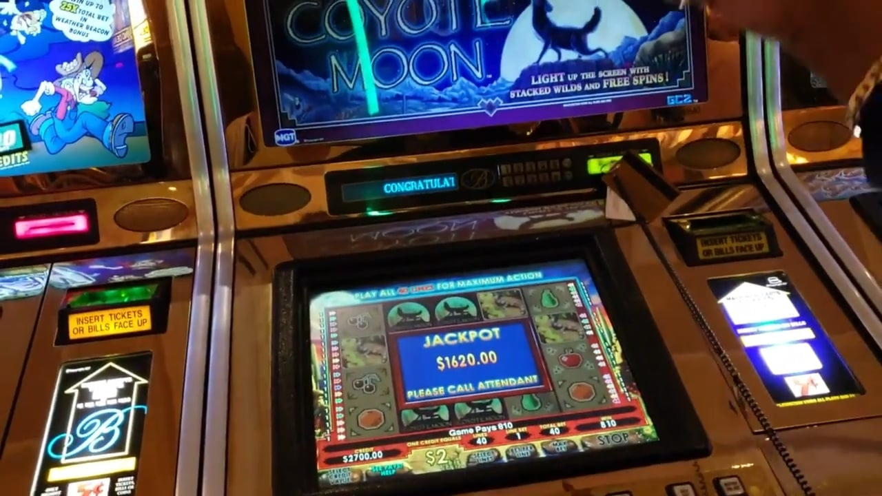 295% Signup Casino Bonus at Rizk Casino