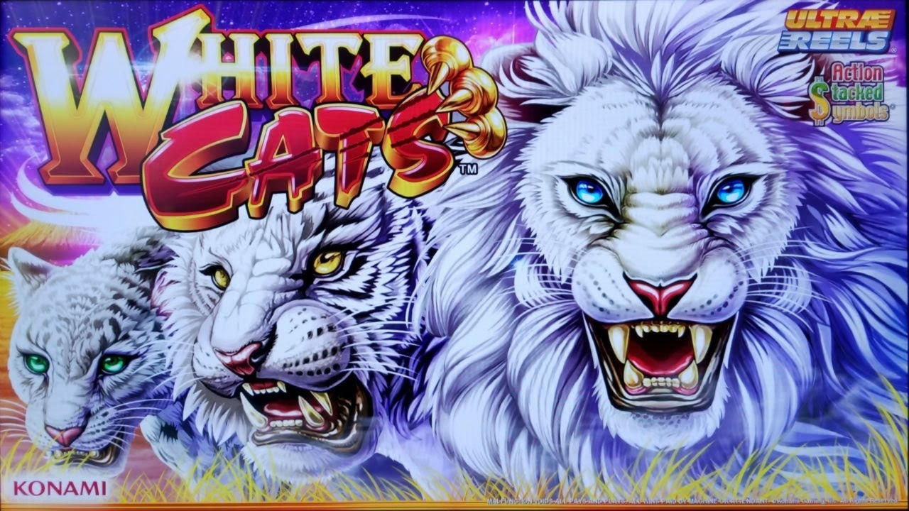 55 Trial Spins at Winner Casino