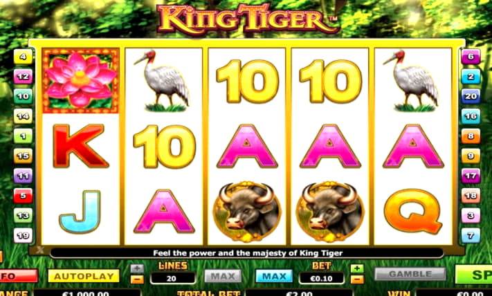 205 Free Spins no deposit at Spinrider Casino