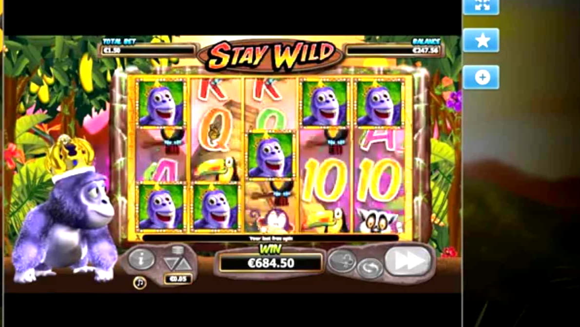 700% No Rules Bonus! at 777 Casino