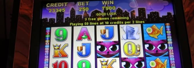 175 Free spins no deposit at Leo Vegas Casino