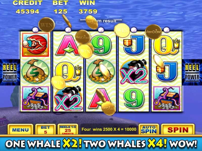 Eur 420 Mobile freeroll slot tournament at Spinrider Casino
