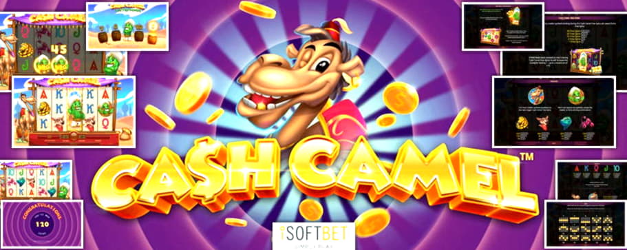 €1205 No deposit bonus casino at Vera and Jhon Casino
