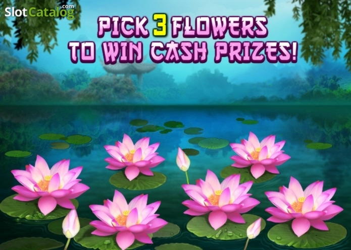 265 Free Spins no deposit casino at The Best Online Casino