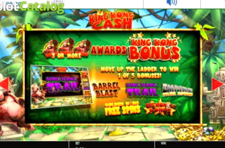 €1240 No deposit at Spinit Casino