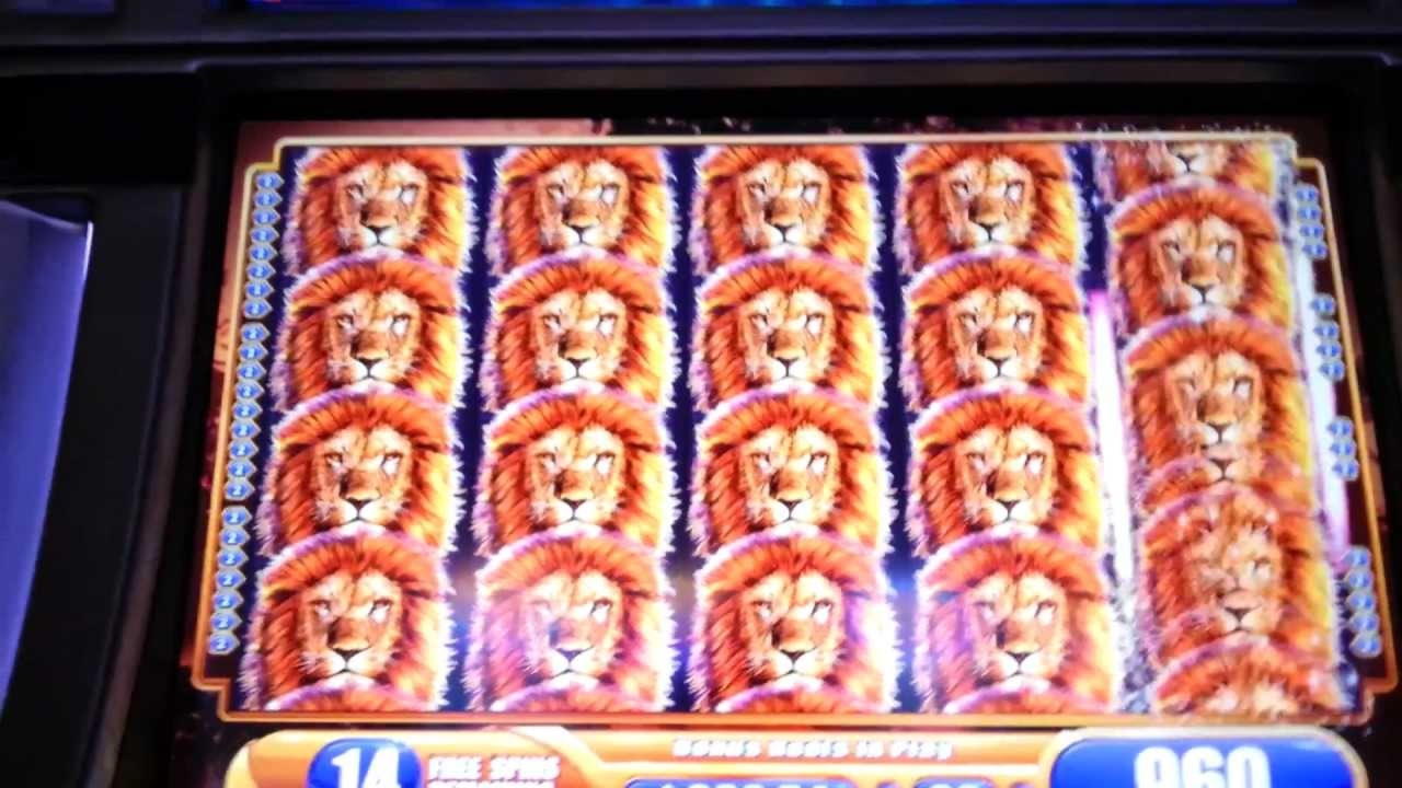 $1095 No Deposit at Vera and Jhon Casino
