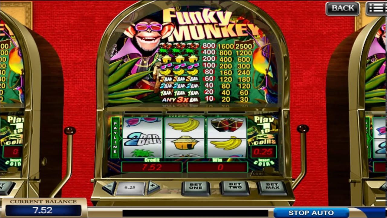 105 Free Spins at Casimba Casino