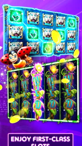 $885 Tournament at Guts Casino