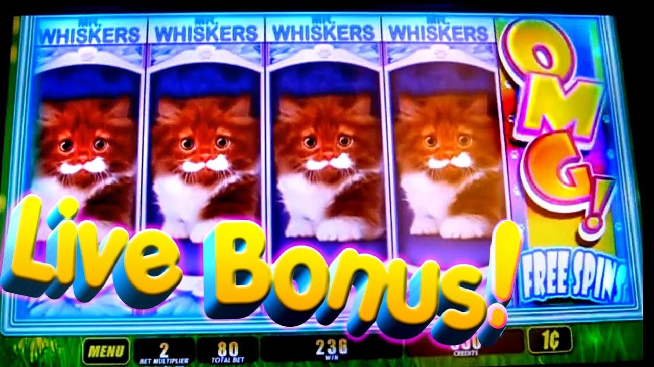 €455 Free Cash at Jet Bull Casino