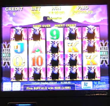 €95 Free Money at Casimba Casino