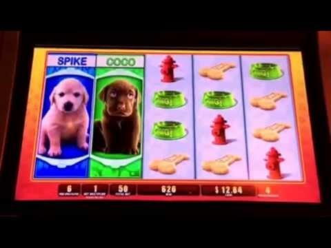 €200 Daily freeroll slot tournament at Jet Bull Casino