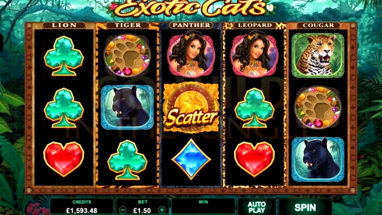 85 Free spins casino at Gamebookers Casino