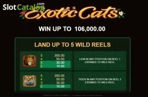 ﻿$435 FREE CHIP CASINO at Vera and Jhon Casino