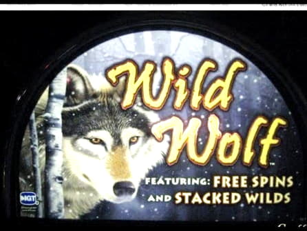 630% No Rules Bonus! at Dunder Casino