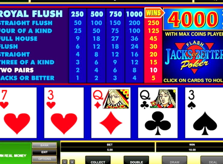 955% No Rules Bonus! at Rizk Casino