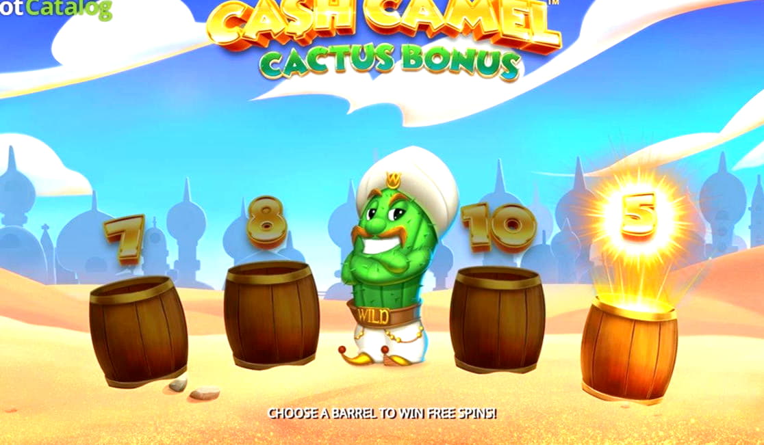 245 Free spins no deposit at bWin Casino