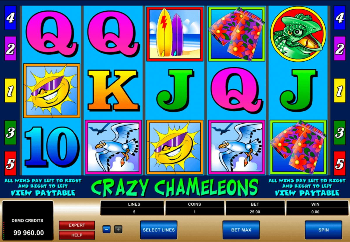 480% Match at a casino at Inter Casino