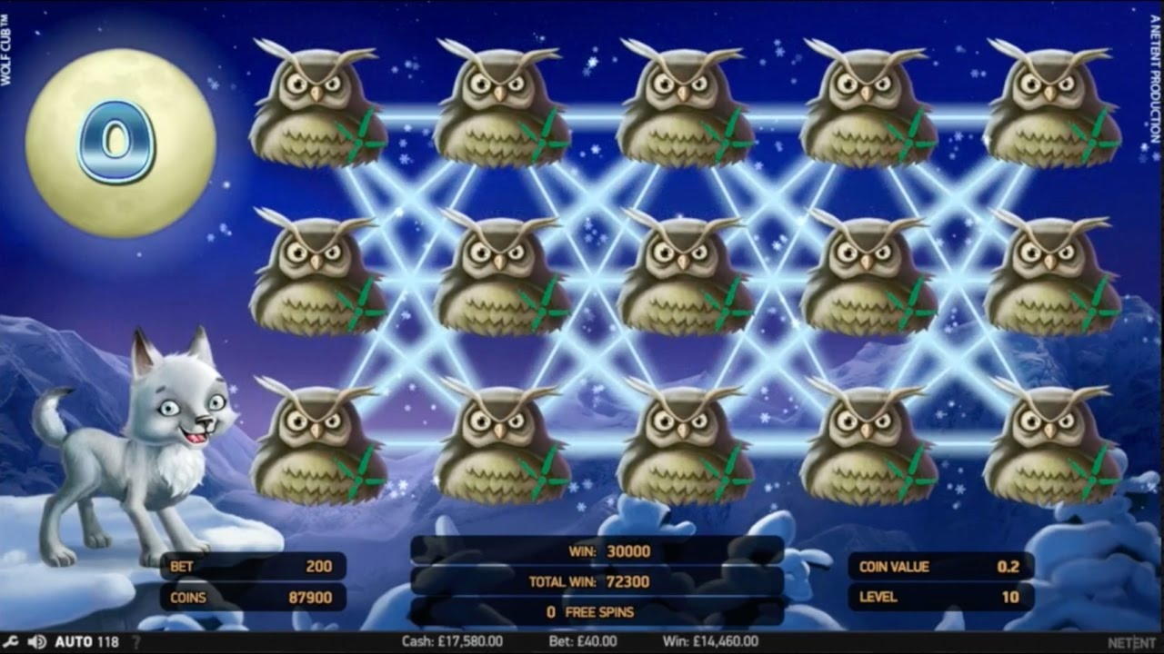€3670 No deposit at Ikibu Casino