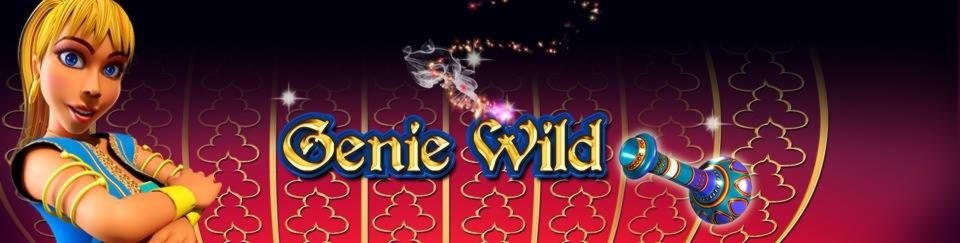 25 Free Casino Spins at Spinrider Casino