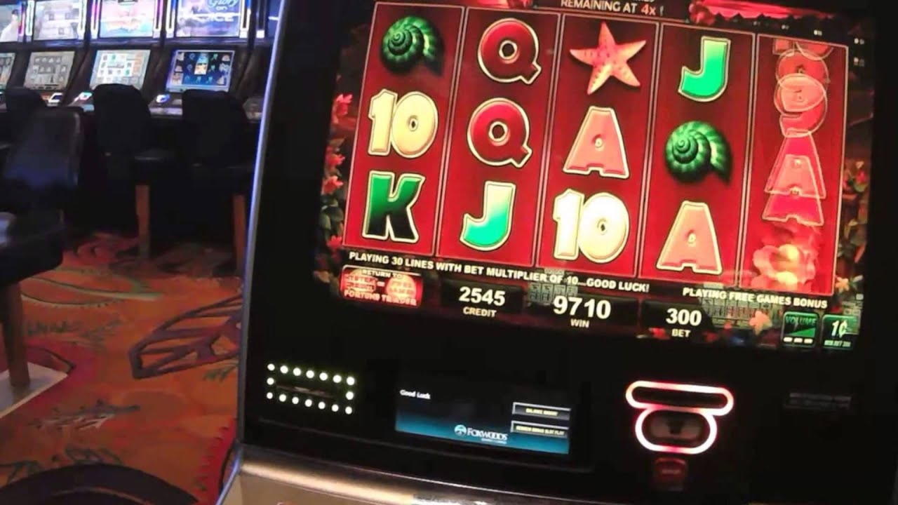 $3645 no deposit bonus casino at Party Casino