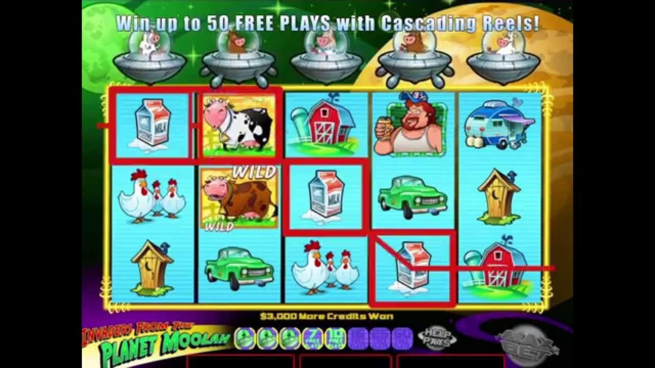 €560 free chip at Sloty Casino