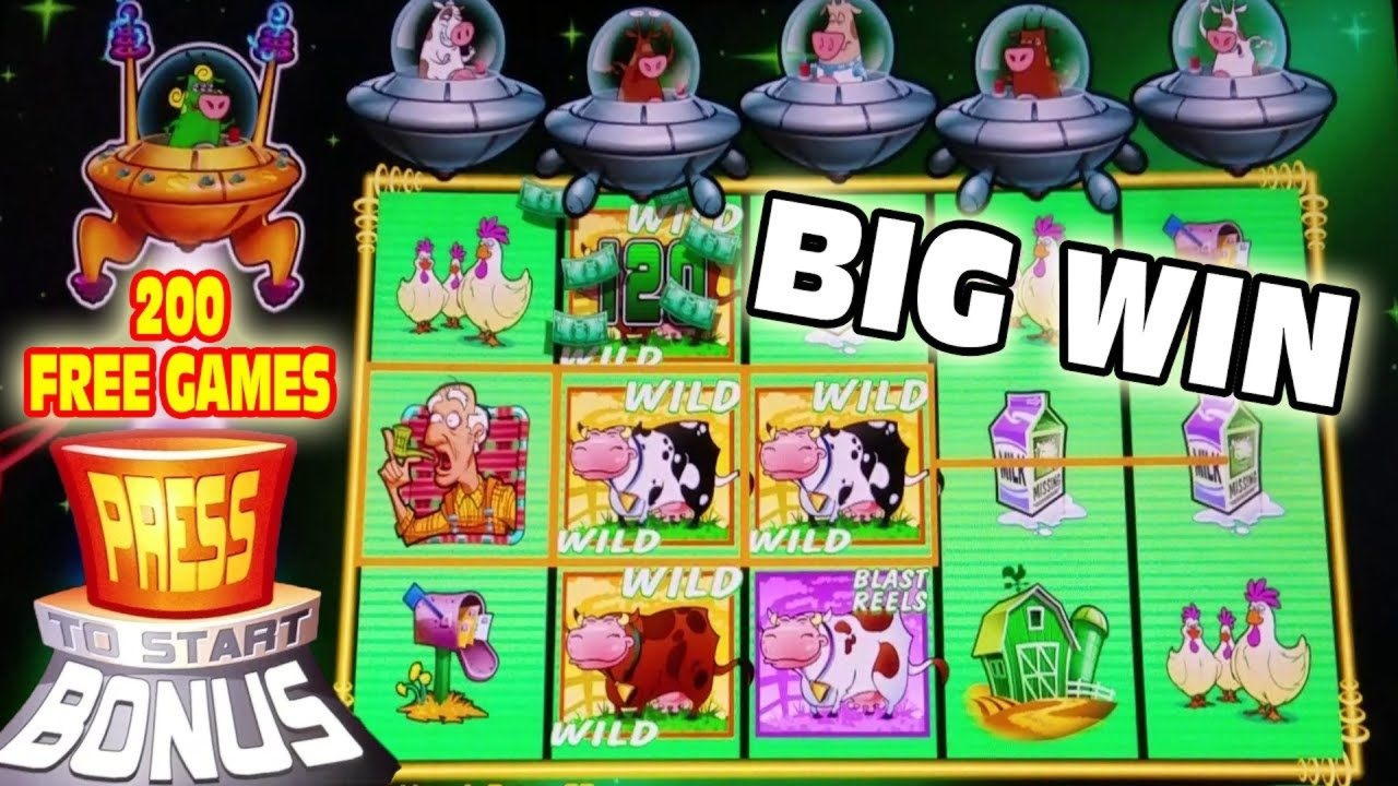 11 Loyalty Free Spins! at Genesis Casino