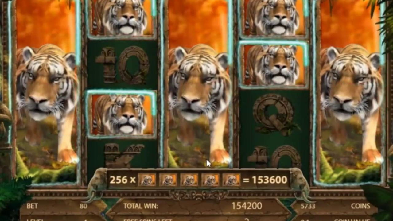 $1285 No Deposit Bonus at Vera and Jhon Casino