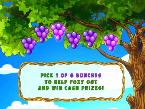 40 Free Spins right now at Casimba Casino