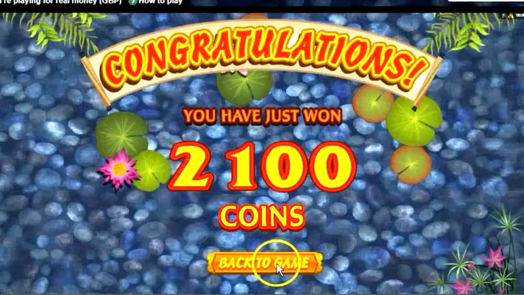 $300 Daily freeroll slot tournament at Ikibu Casino