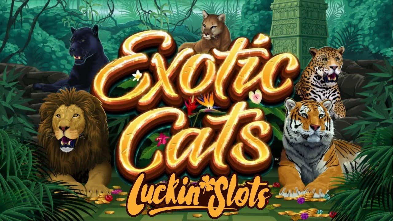 15 free spins at Rizk Casino