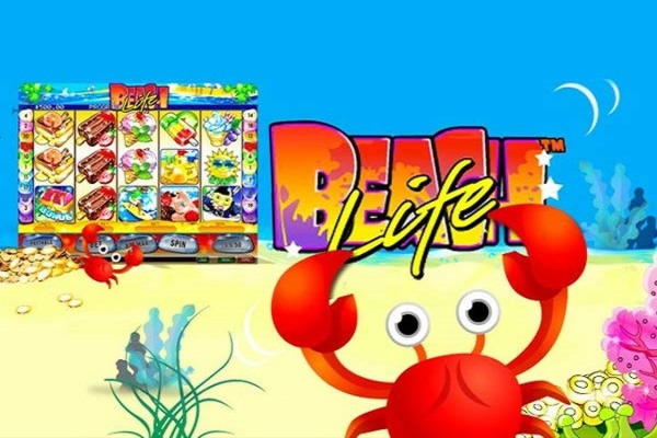 ﻿$785 Online Casino Tournament at Spinrider Casino