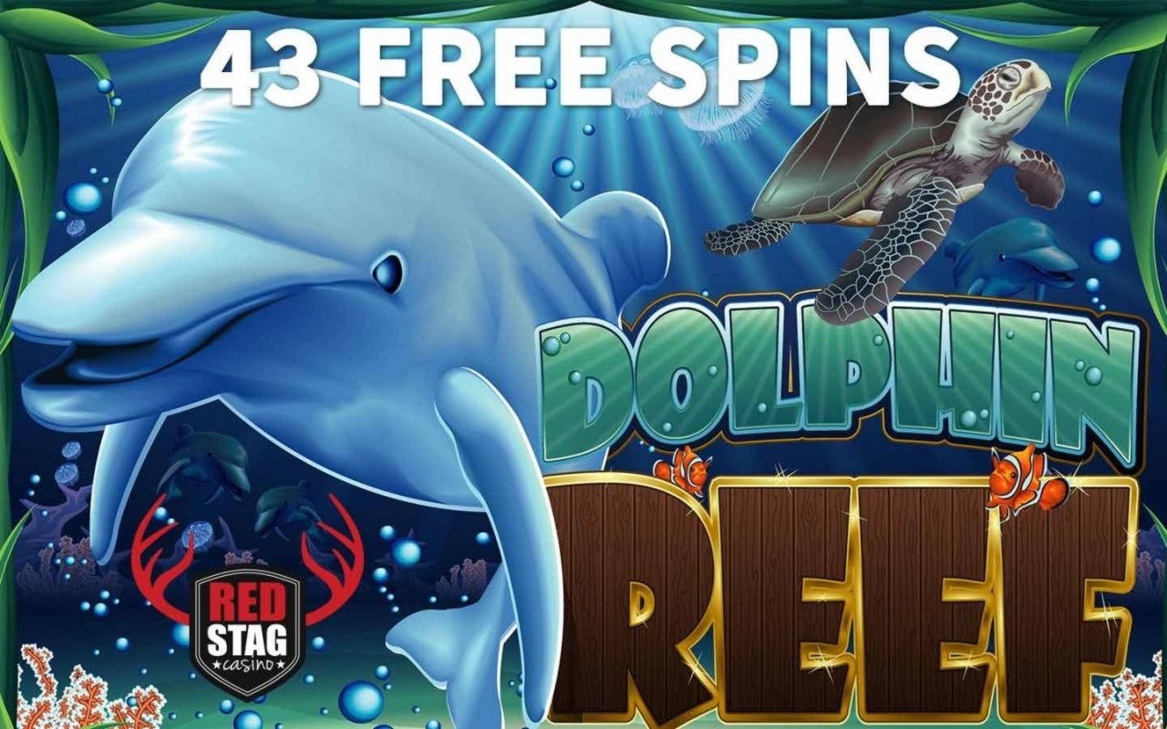£2615 no deposit at Vera and Jhon Casino