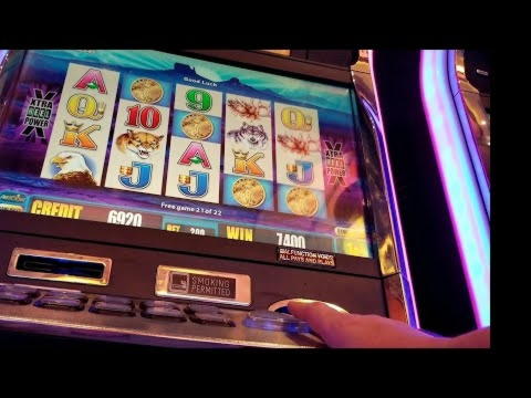 $565 free chip at Casimba Casino