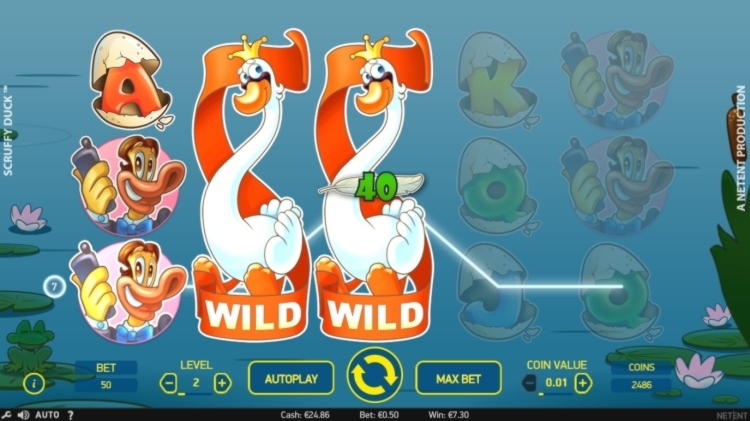 210 free casino spins at Ikibu Casino