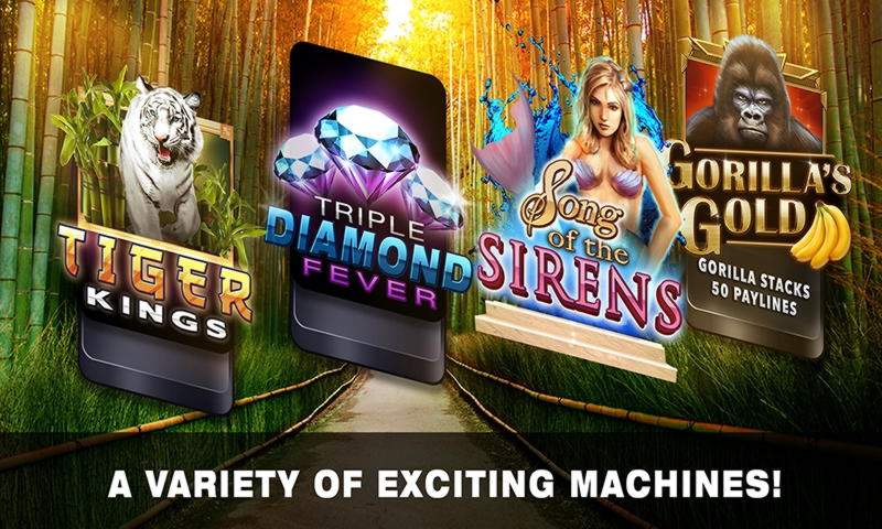 €515 Online Casino Tournament at Dunder Casino