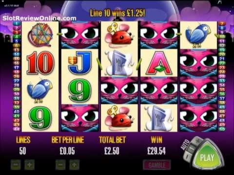 200% Deposit Match Bonus at Spinit Casino