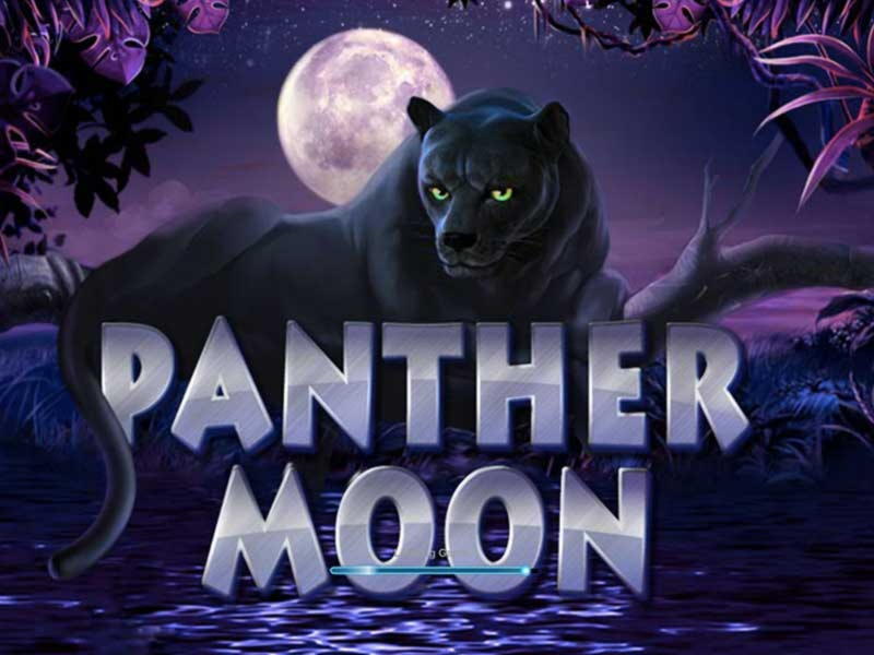 £775 No deposit bonus code at Karamba Casino
