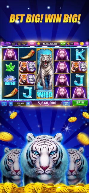 66 free spins at Rizk Casino
