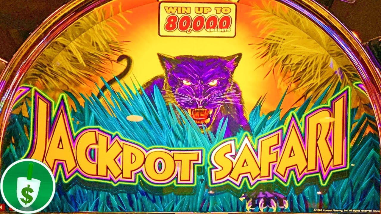 520% Best Signup Bonus Casino at Spinrider Casino