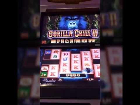 300% Signup Casino Bonus at Spin Palace Casino
