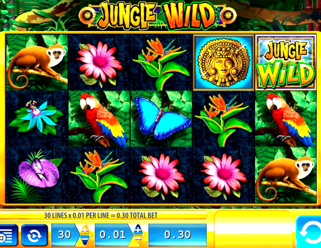€685 Free Cash at Ikibu Casino