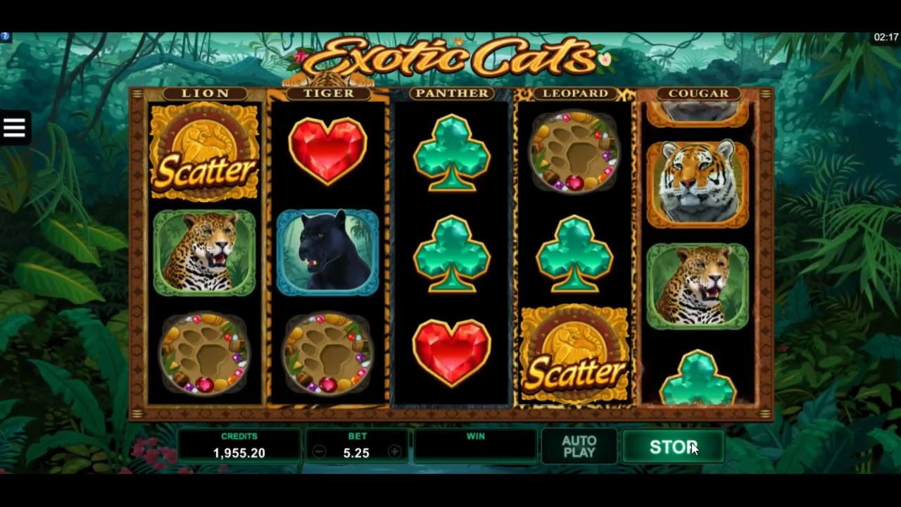 EURO 2005 NO DEPOSIT BONUS CODE at Casimba Casino