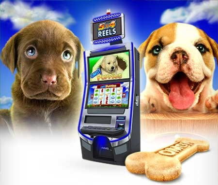 EURO 155 Casino tournaments freeroll at Vera and Jhon Casino