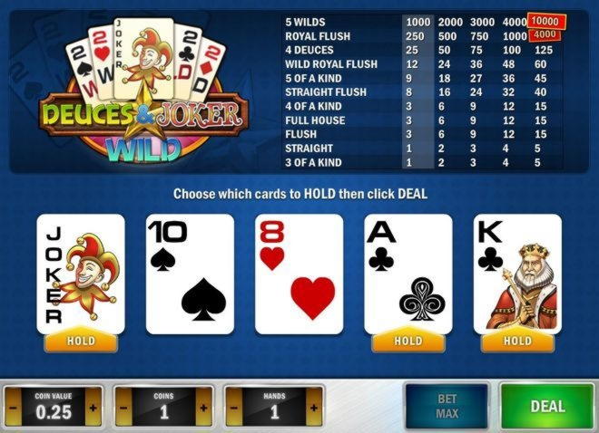 Eur 815 Daily freeroll slot tournament at Rizk Casino