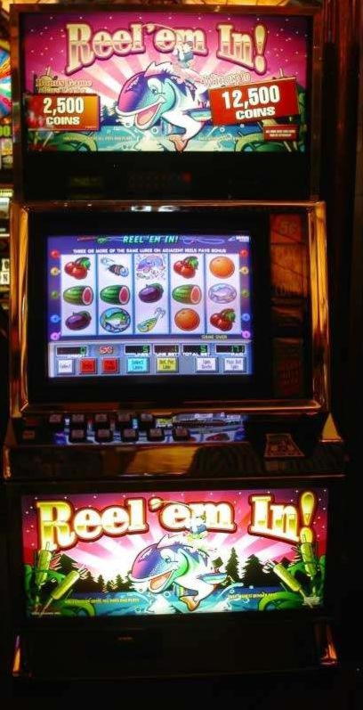 280 free spins no deposit casino at Dream Vegas Casino