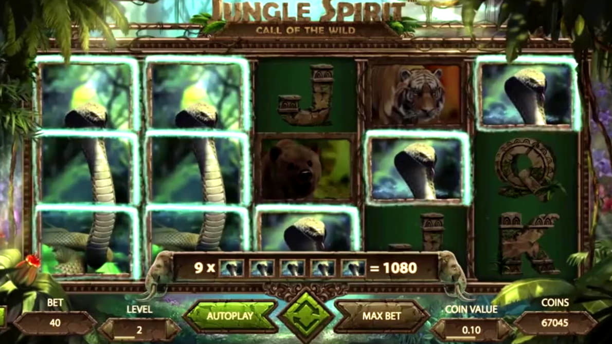 ﻿$365 Daily freeroll slot tournament at Ikibu Casino